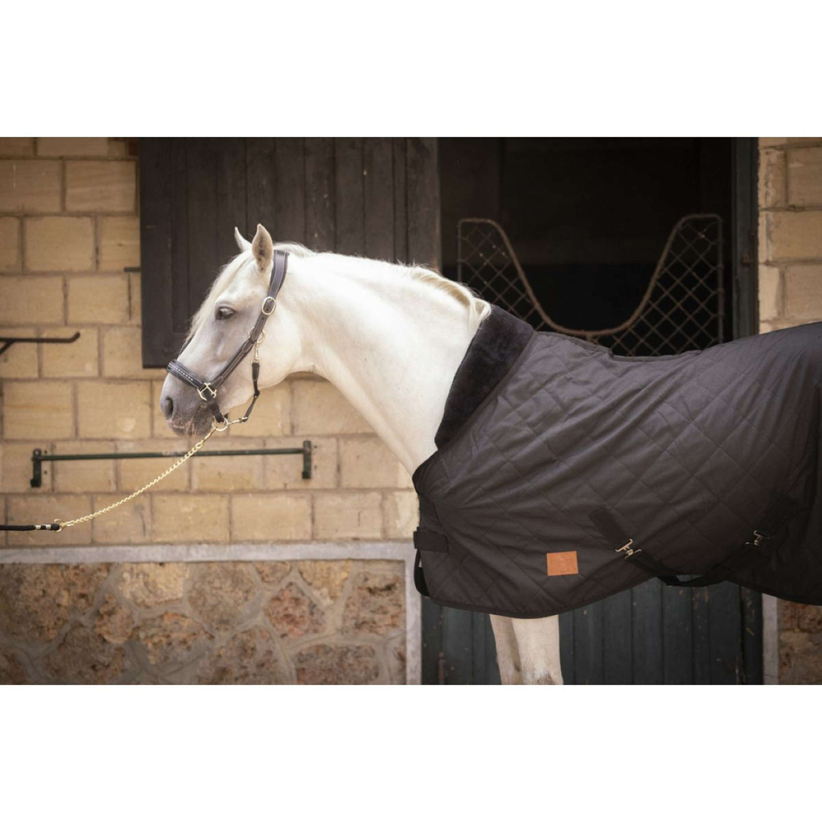 Paddock Rug Rist 50g Black