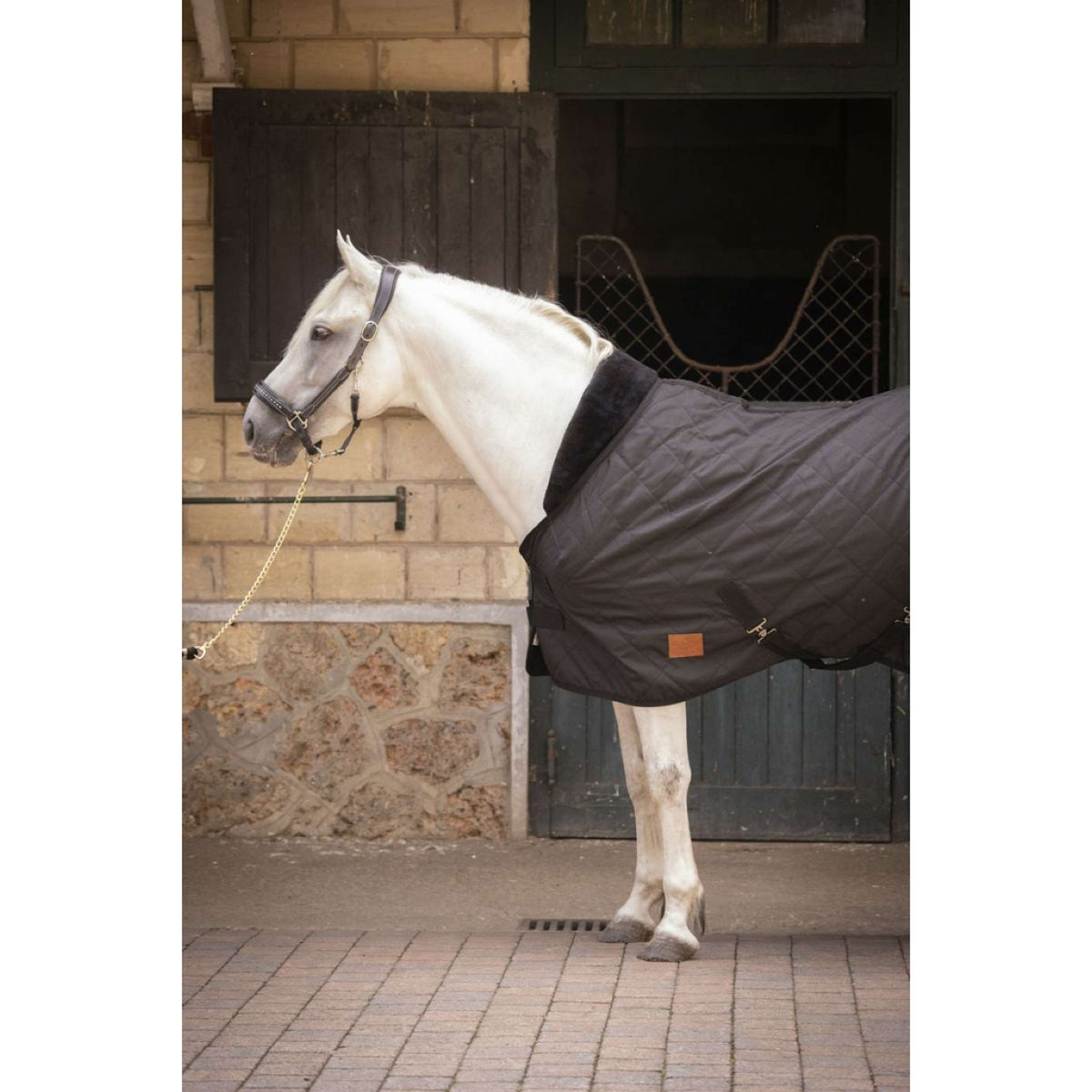 Paddock Rug Rist 50g Black