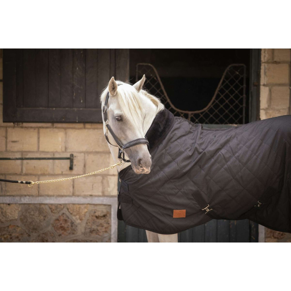 Paddock Rug Rist 50g Black