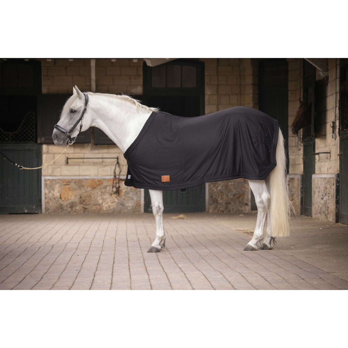 Paddock Rug Drying Black