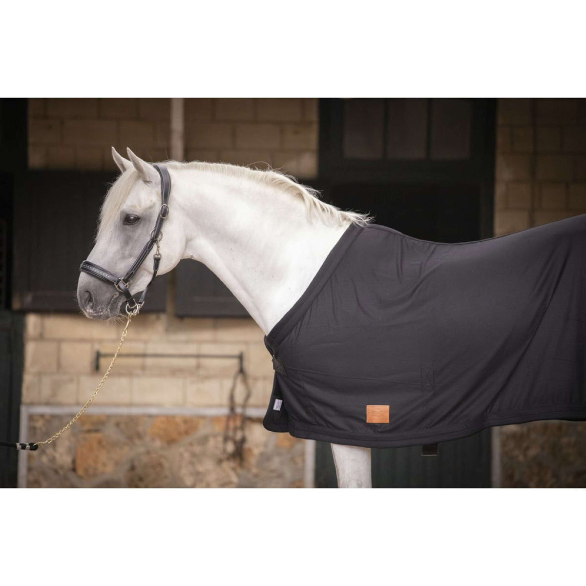 Paddock Rug Drying Black