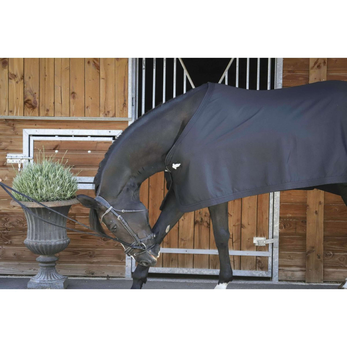 Paddock Rug Present Black