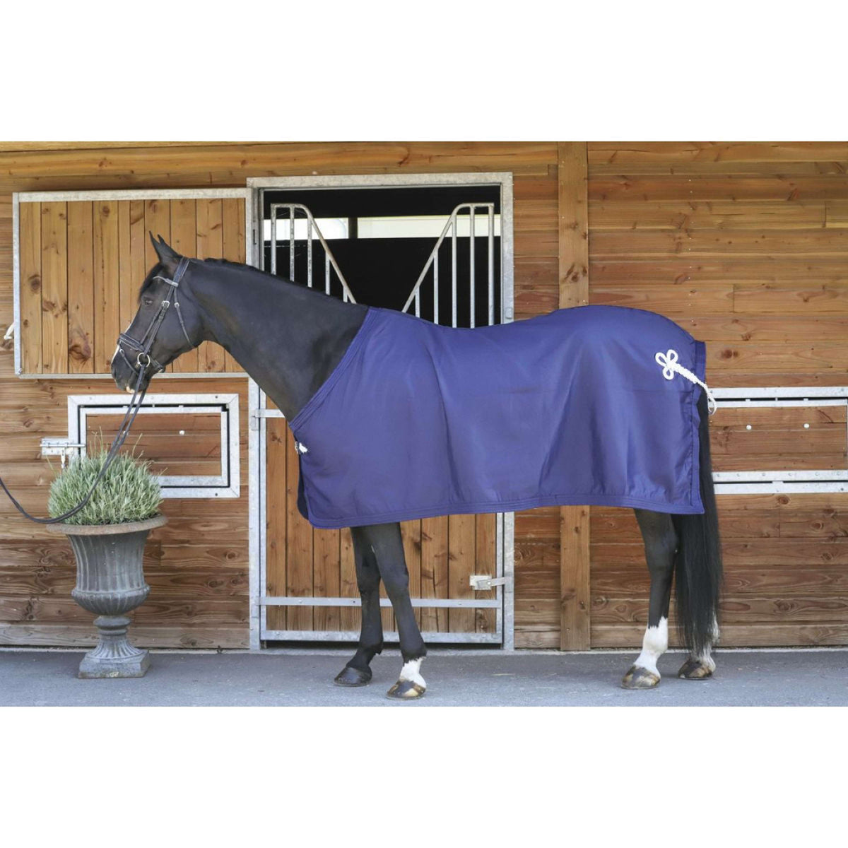 Paddock Rug Present Navy