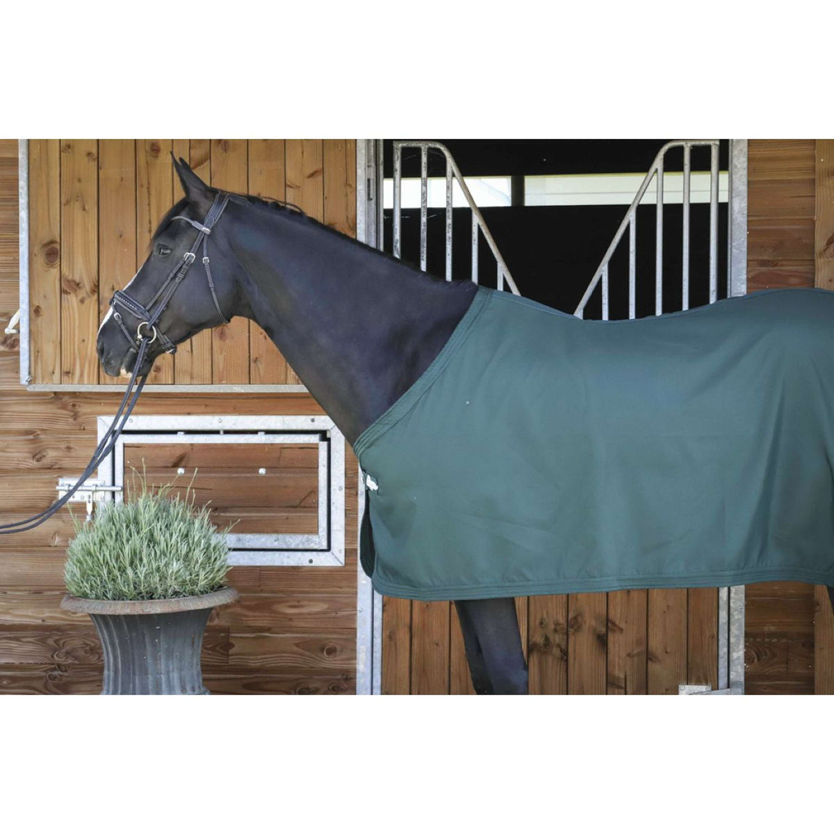 Paddock Rug Present Green