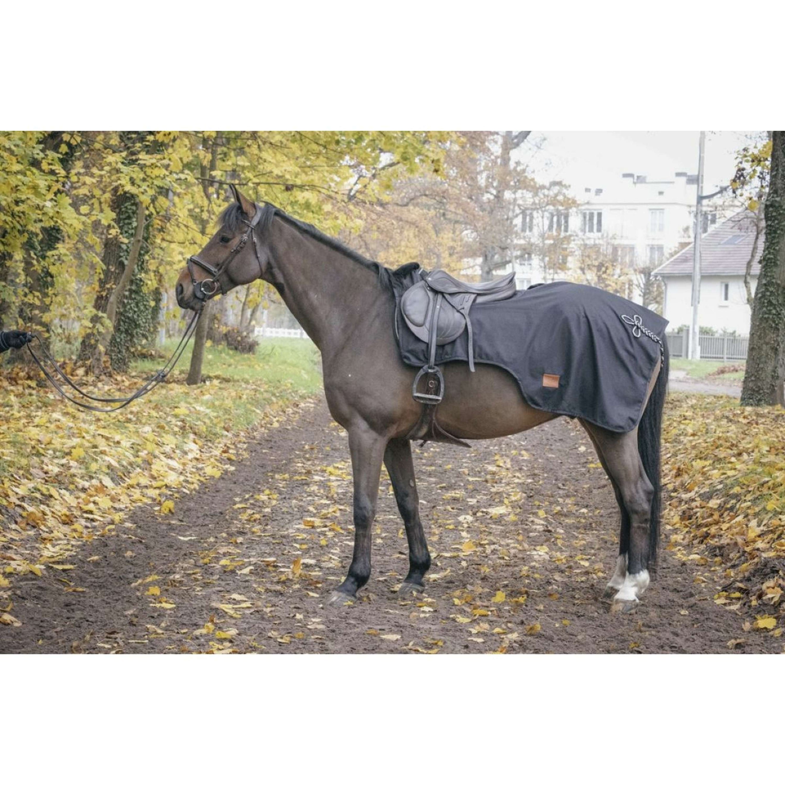 Paddock Rug Exercise Waterproof Black