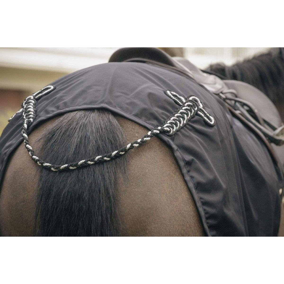 Paddock Rug Exercise Waterproof Black