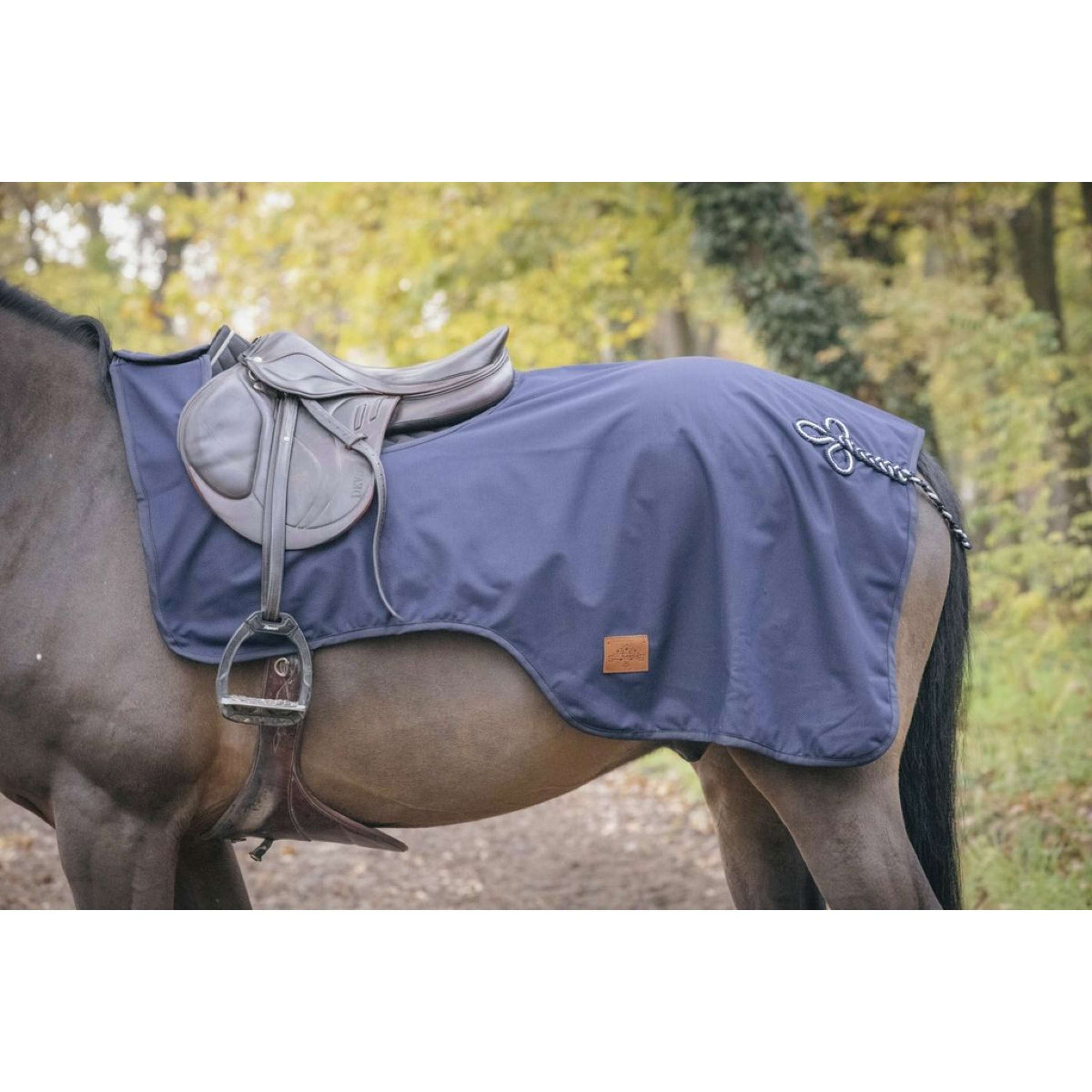 Paddock Rug Exercise Waterproof Navy