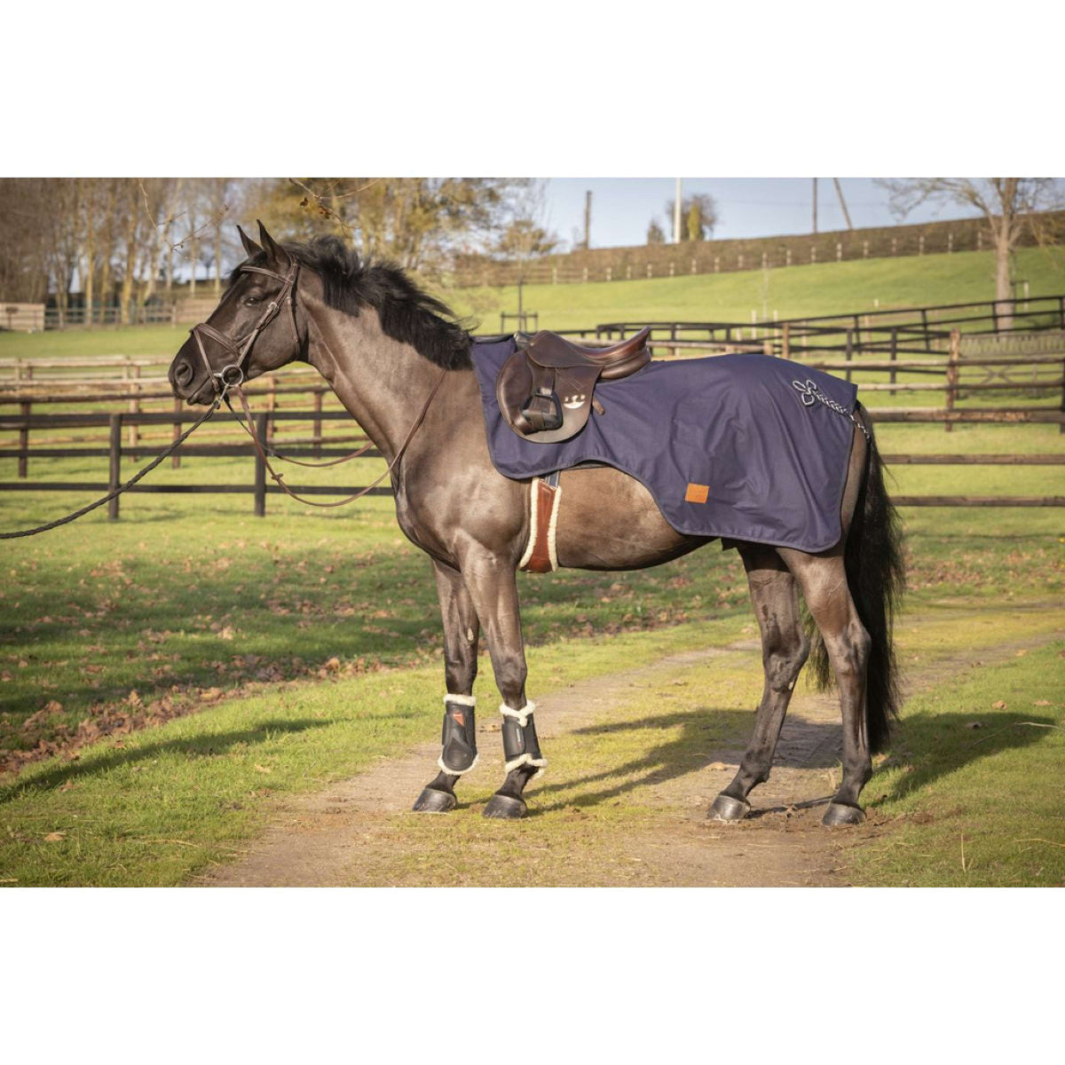 Paddock Rug Brandebg Waterproof Navy