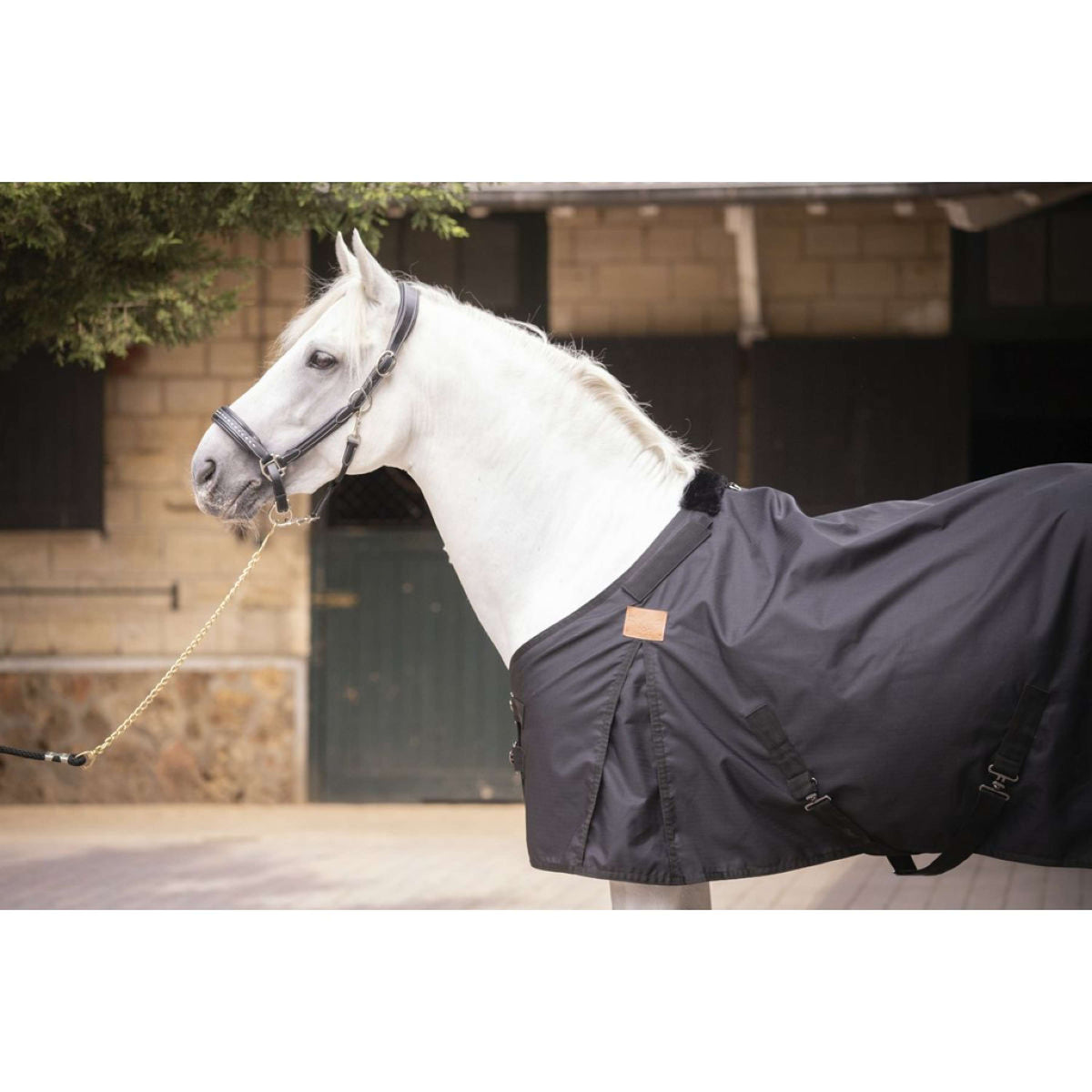 Paddock Rug Water 0g Black