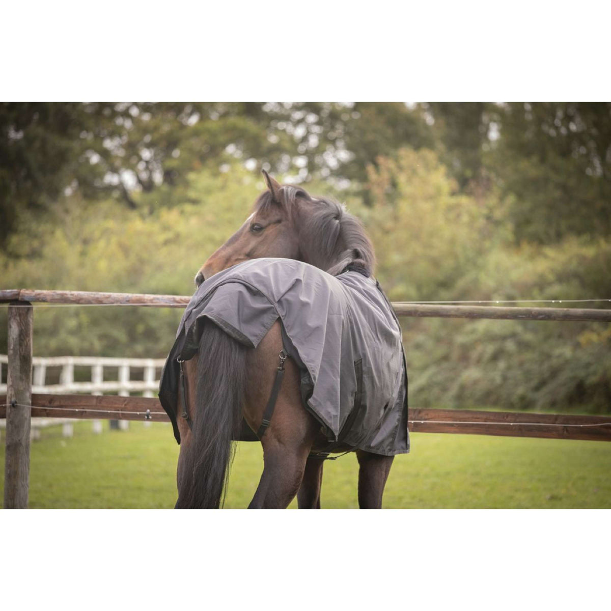 Paddock Rug Water 50g Black