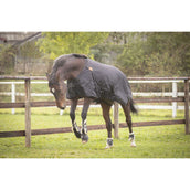 Paddock Rug Water 50g Black