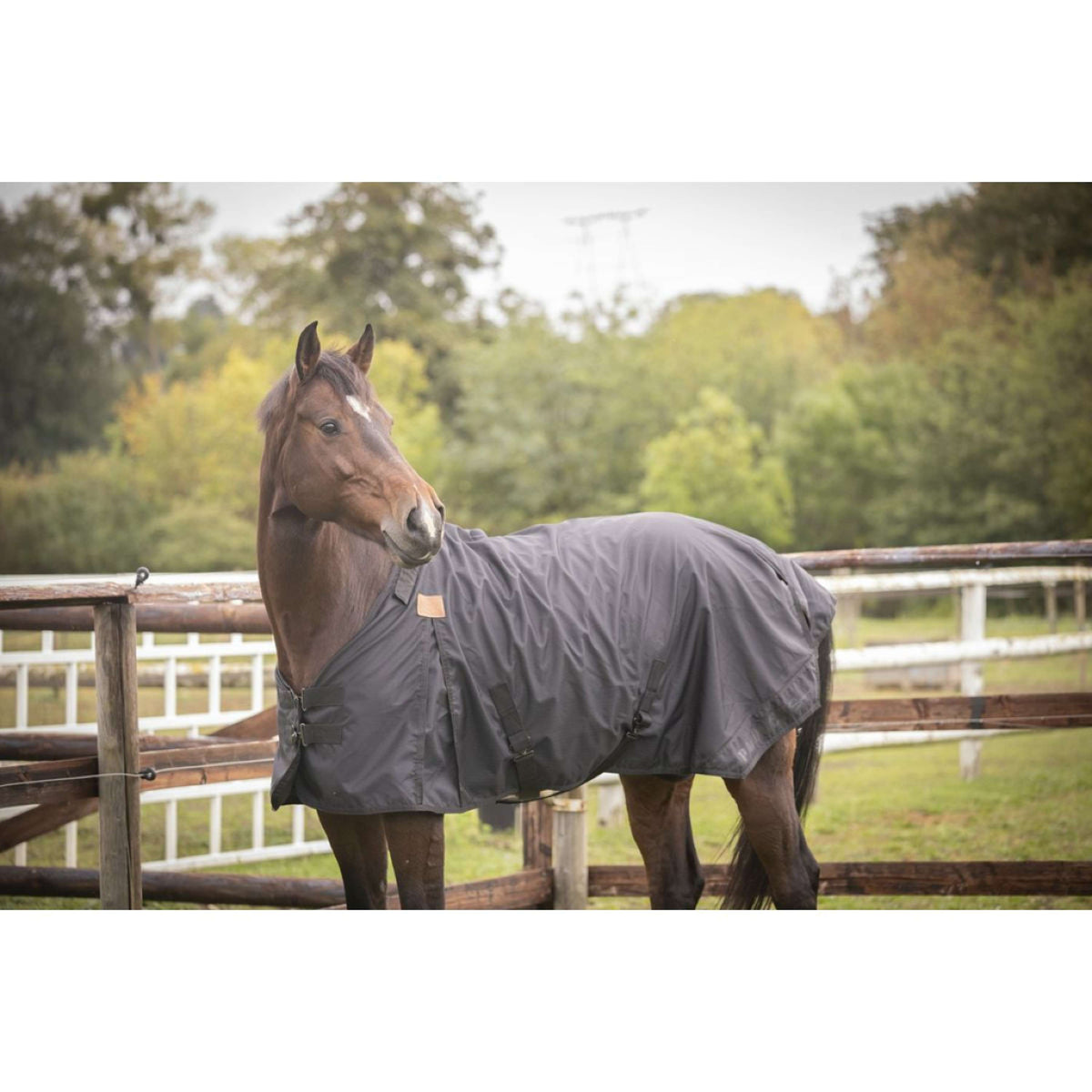 Paddock Rug Water 50g Black