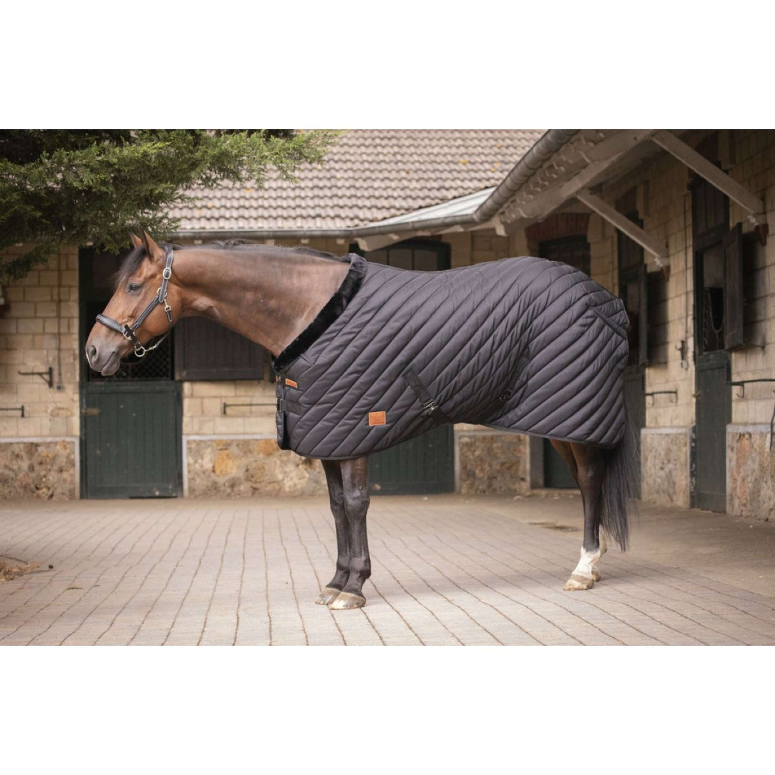 Paddock Stable Rug Wool Black