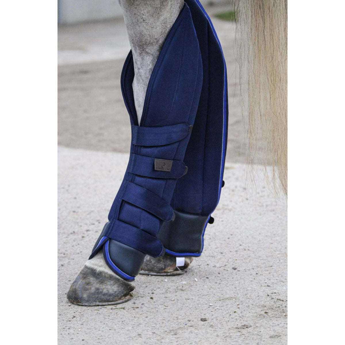 EQUITHÈME Transport Protectors Classic Mesh Navy