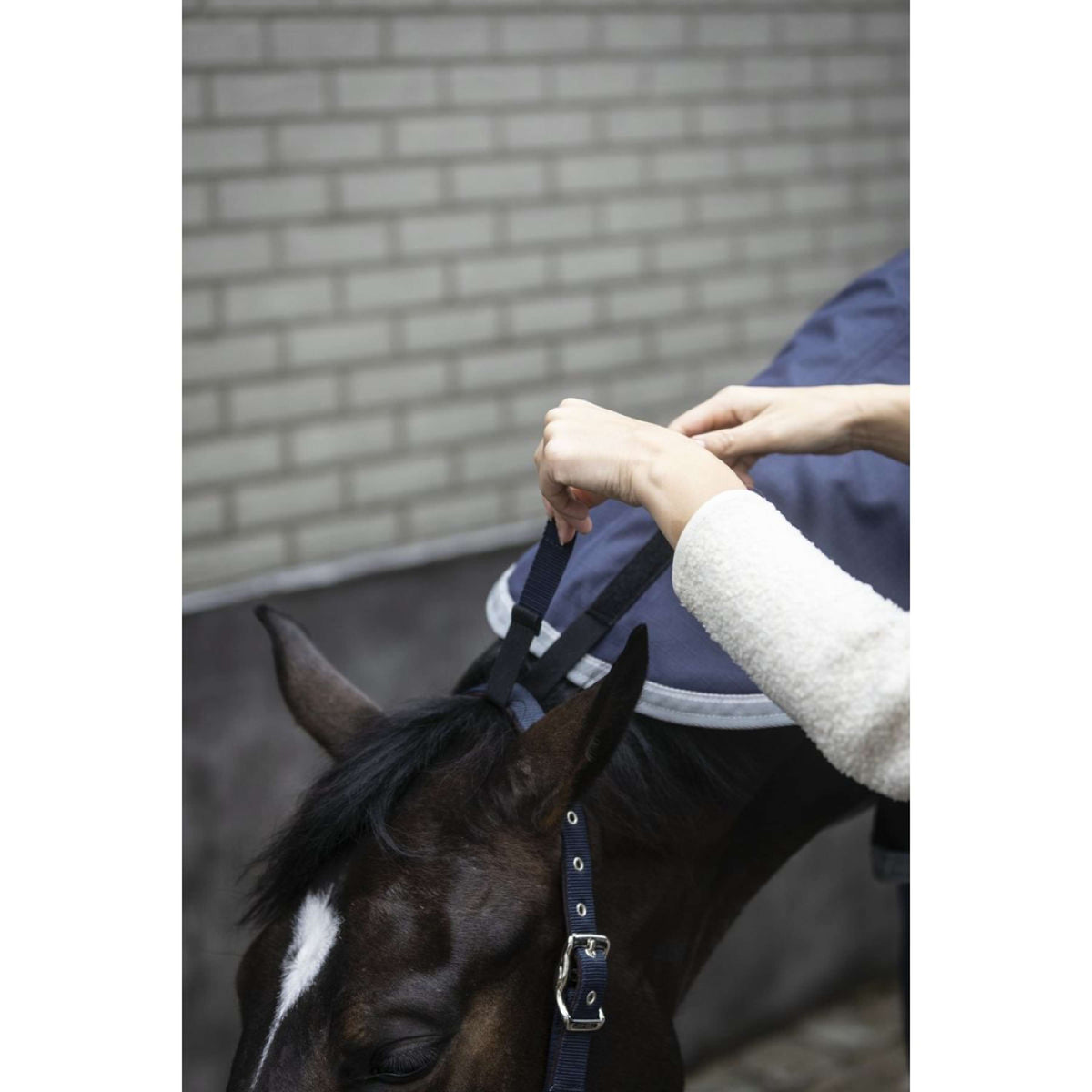 Lami-Cell Neck Cover Armadillo Navy