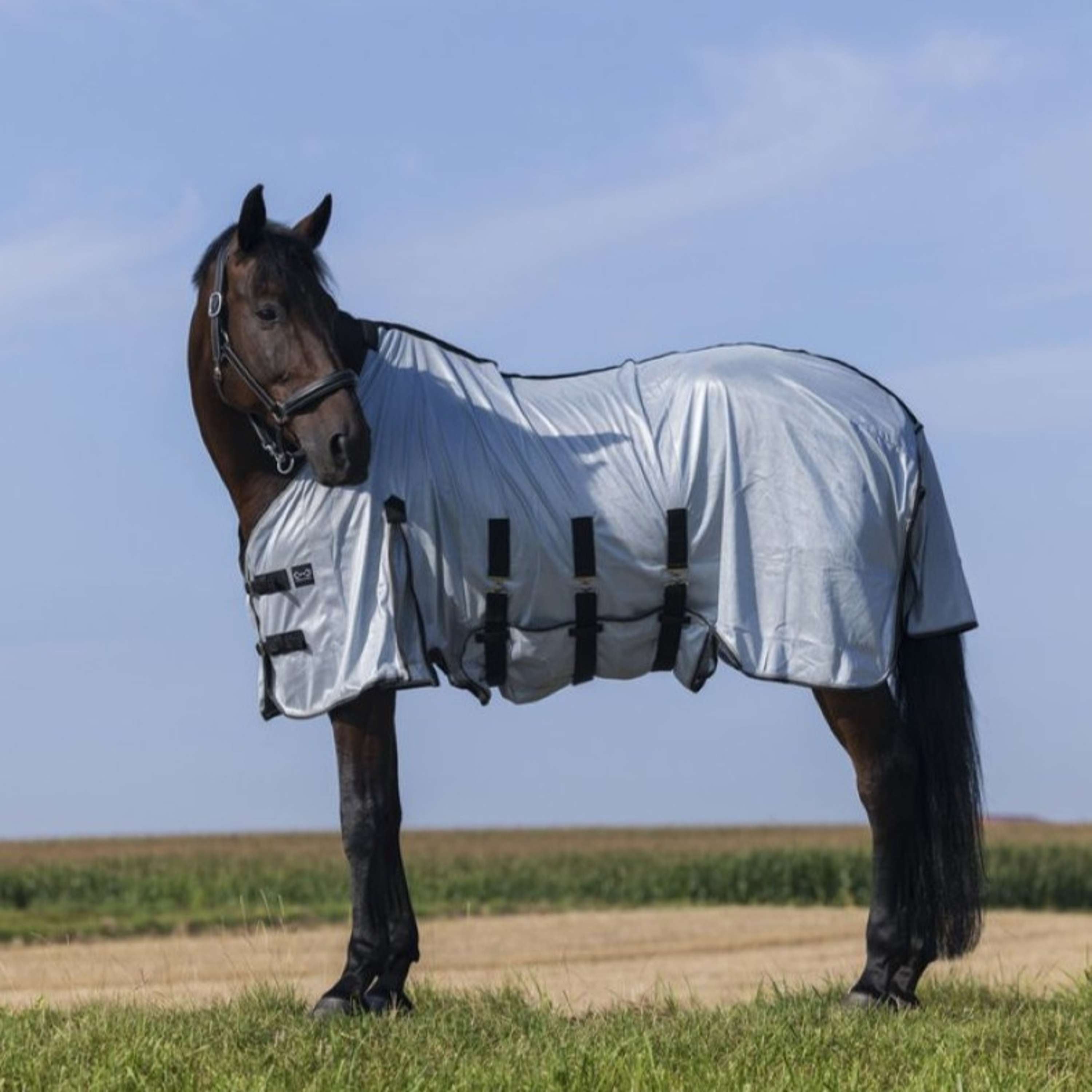 Riding World Fly Rug Belly Mesh Grey