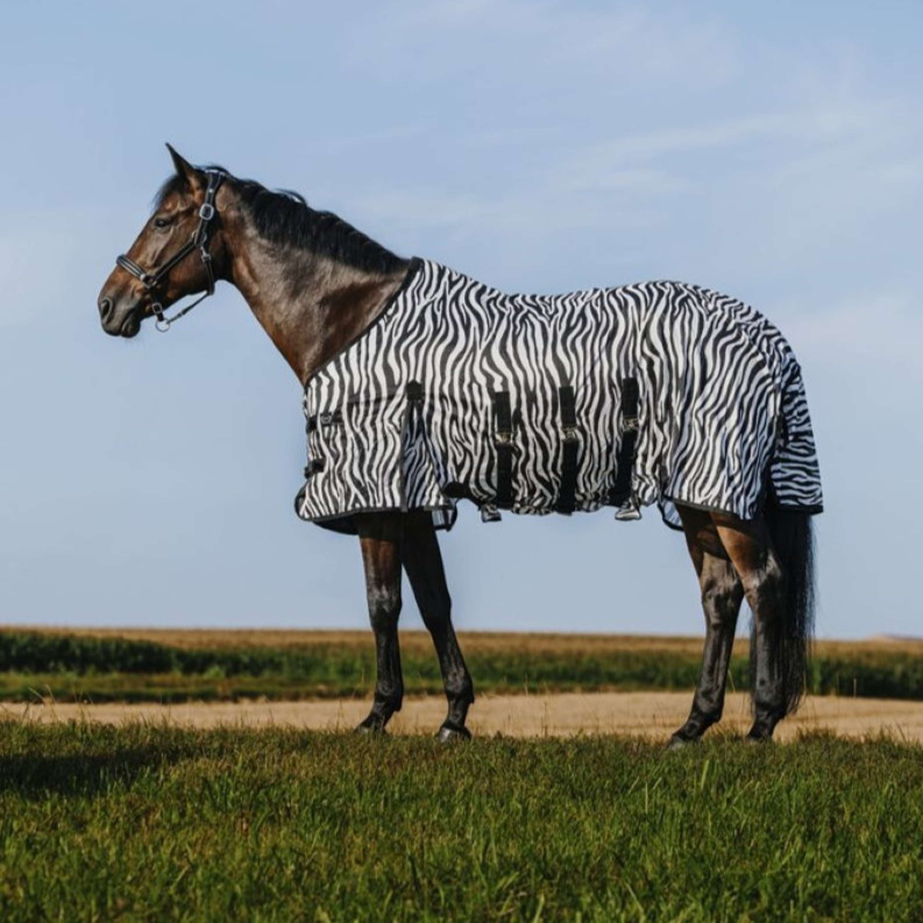 Riding World Fly Rug Belly Mesh Zebra