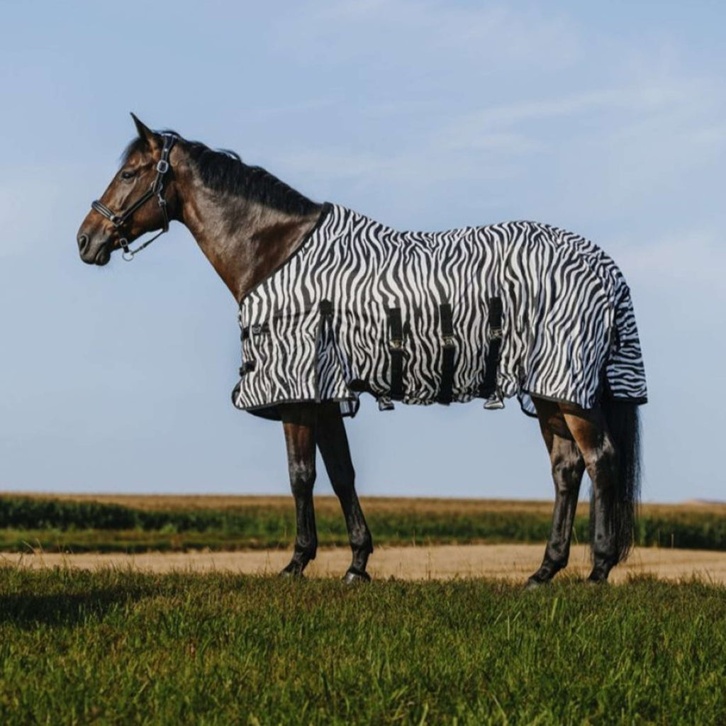 Riding World Fly Rug Belly Mesh Zebra
