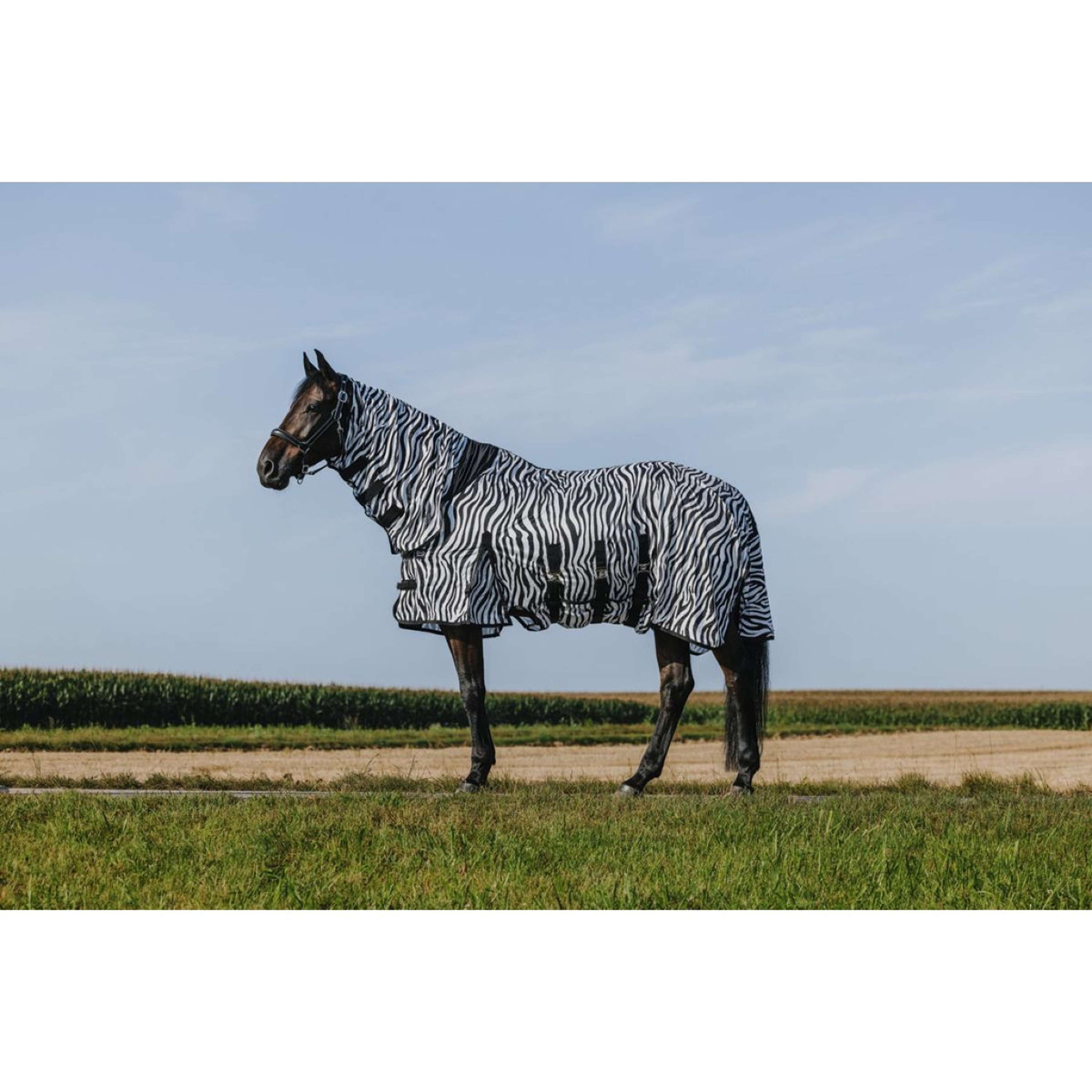 Riding World Fly Rug Belly Mesh Combo Zebra