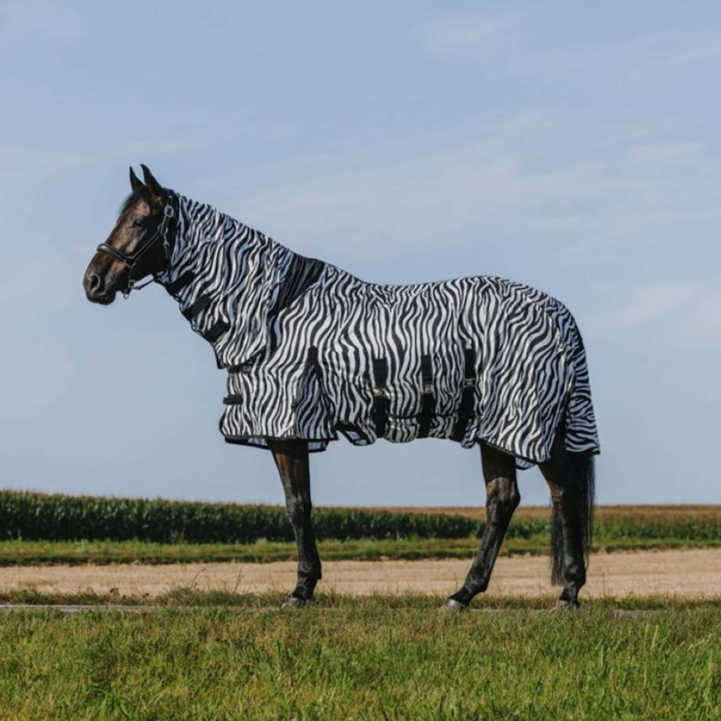 Riding World Fly Rug Belly Mesh Combo Zebra