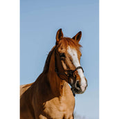 Westride Halter Western Black