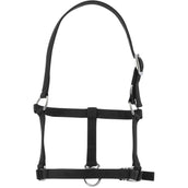 Riding World Halter Black