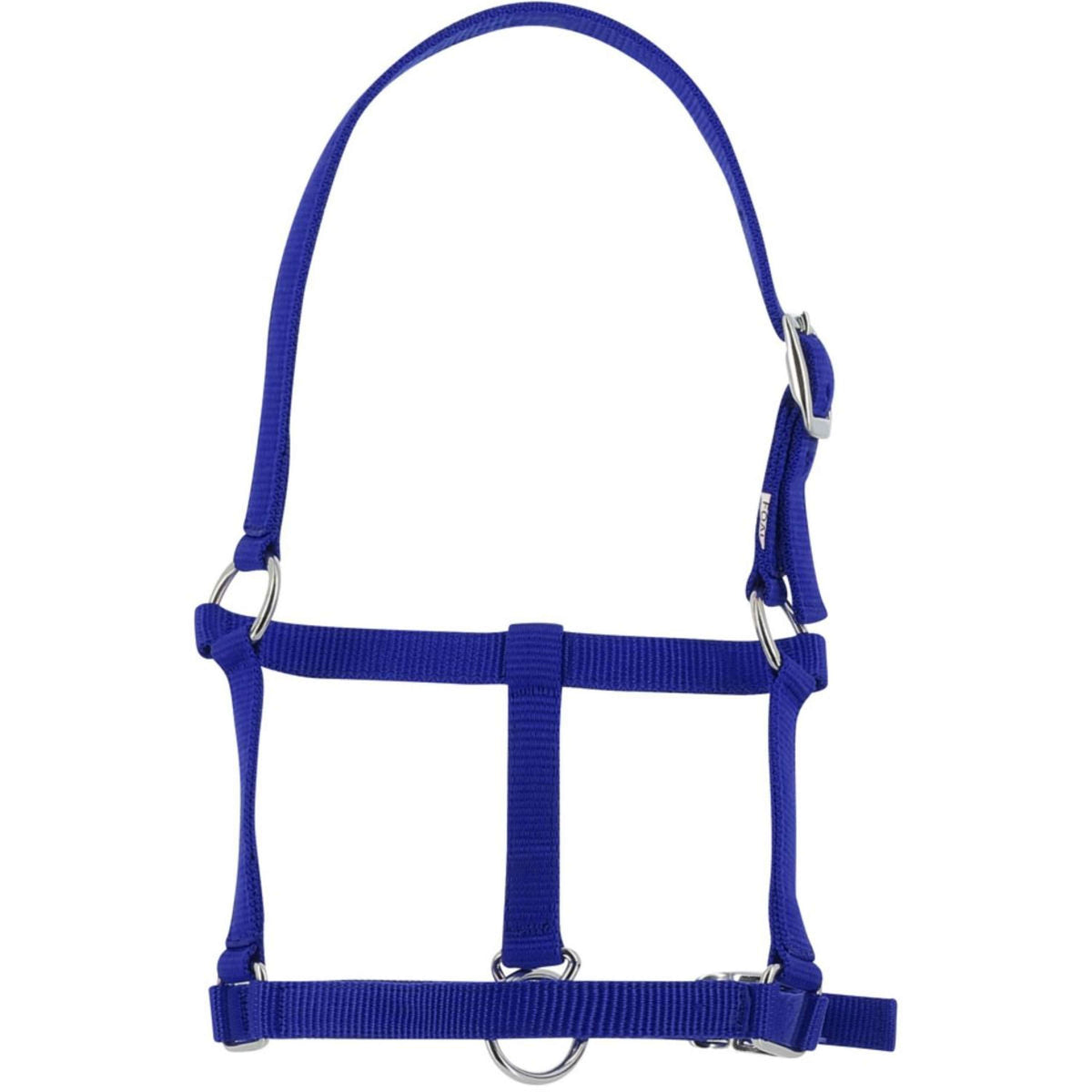 Riding World Halter Royal Blue