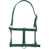 Riding World Halter Dark Green