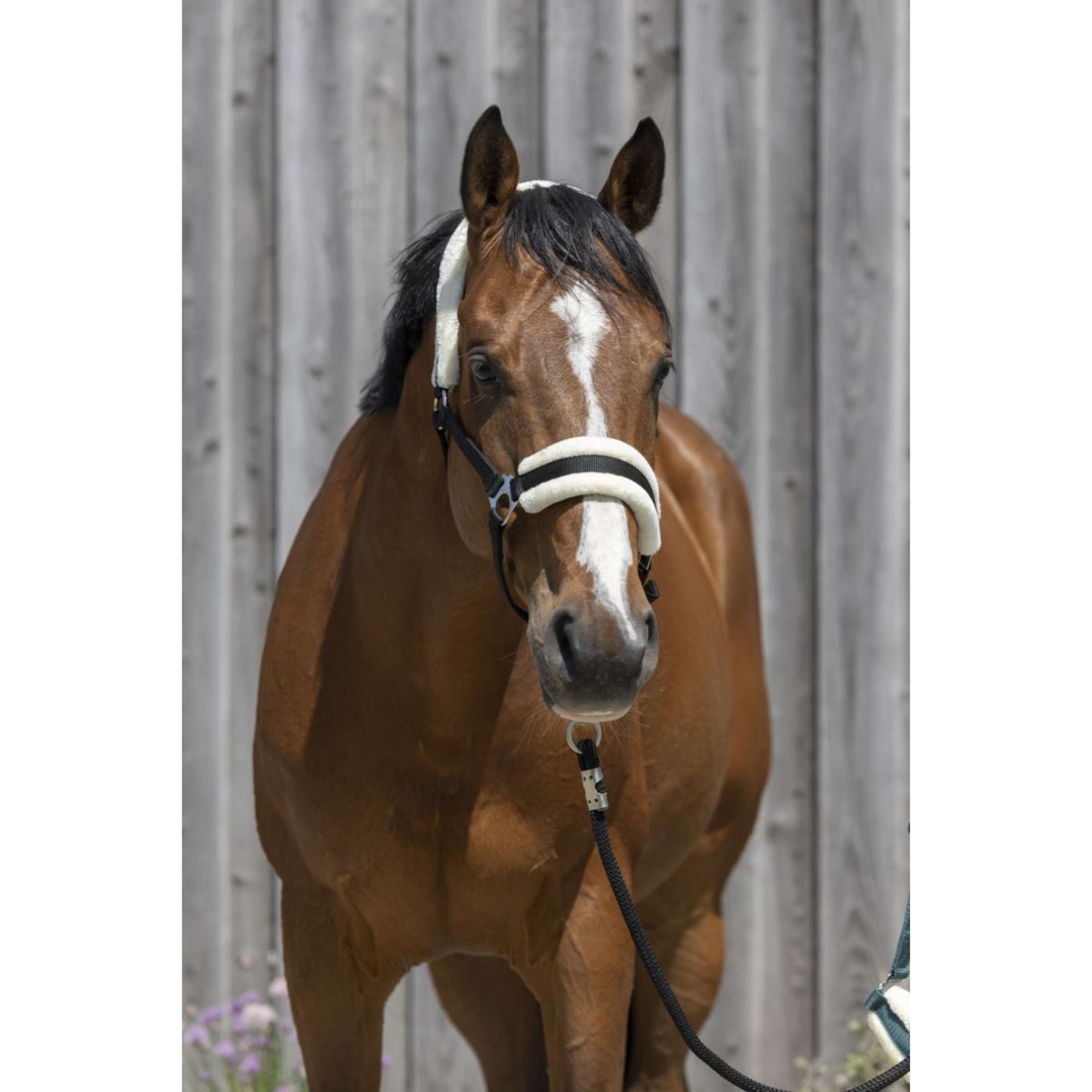 Riding World Halter Synthetic Fur Black Riding World Halter Synthetic Fur Black