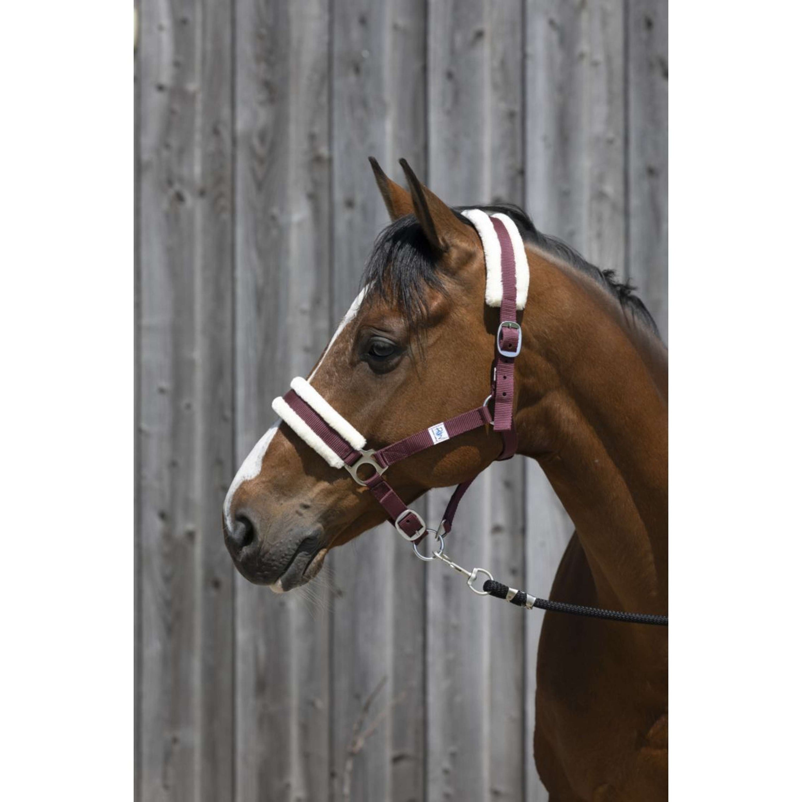 Riding World Halter Synthetic Fur Burgundy