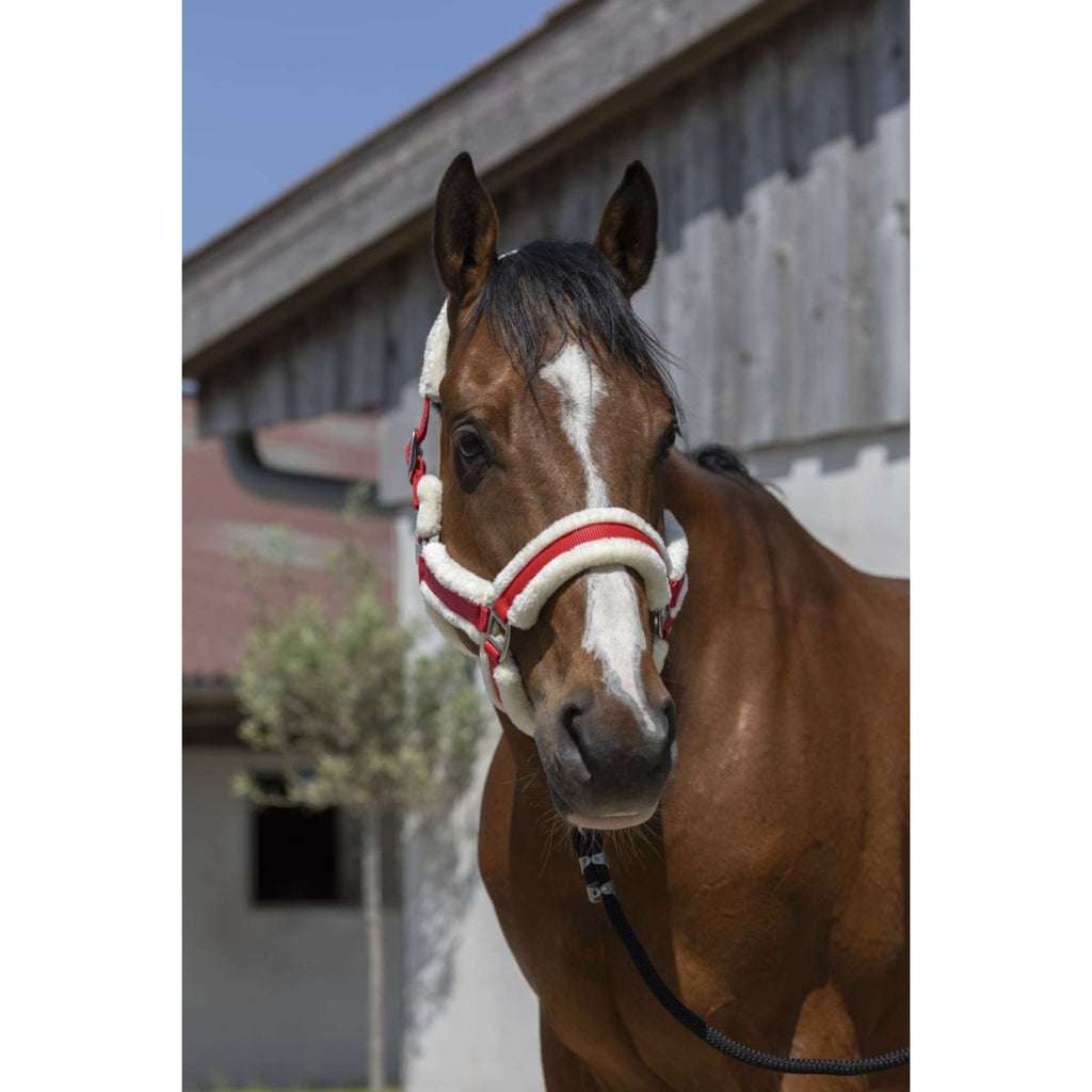 Norton Halter Cosy Red