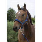 Norton Halter Set Large Blue