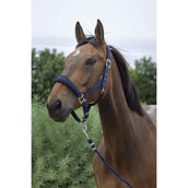 Norton Head Collar Set Large Navy