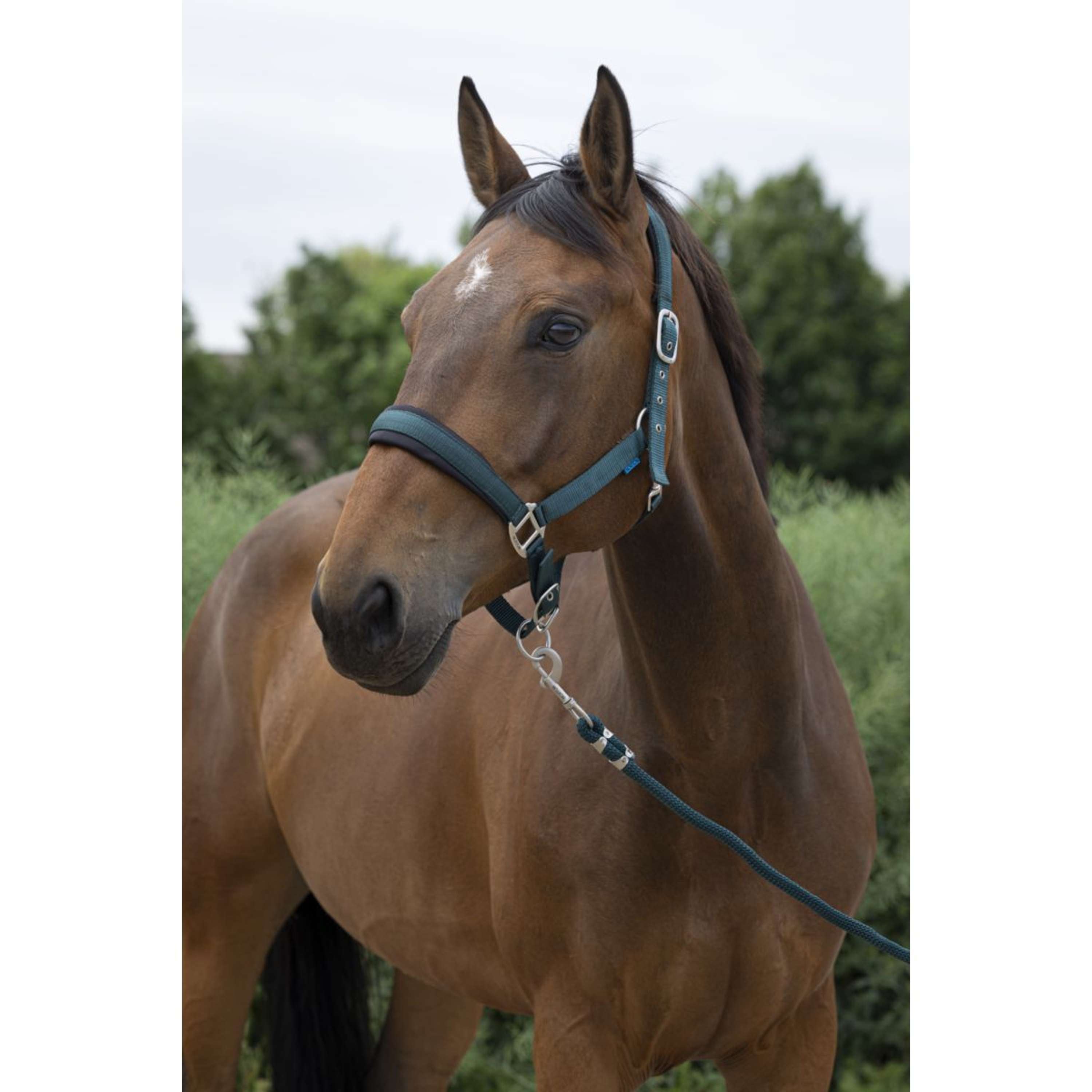 Norton Halter Set Large Dark Green