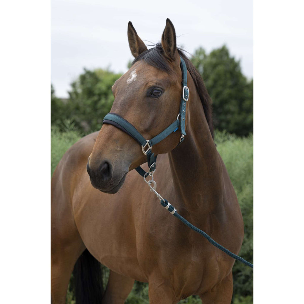 Norton Halter Set Large Dark Green