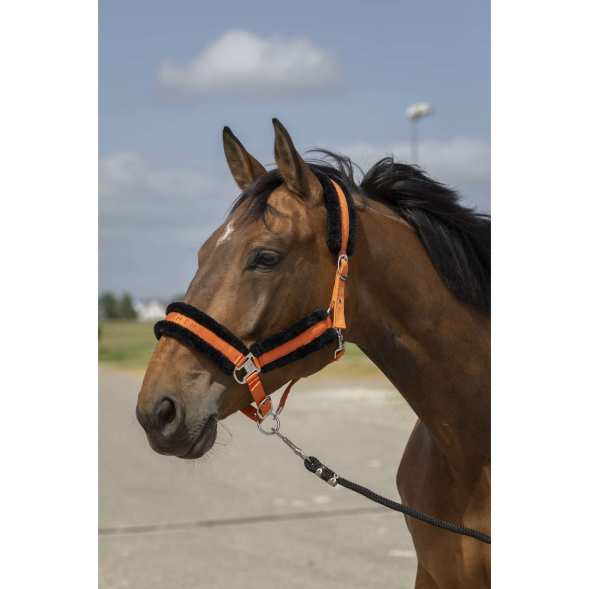 EQUITHÈME Halter Mouton Nylon Orange/Black