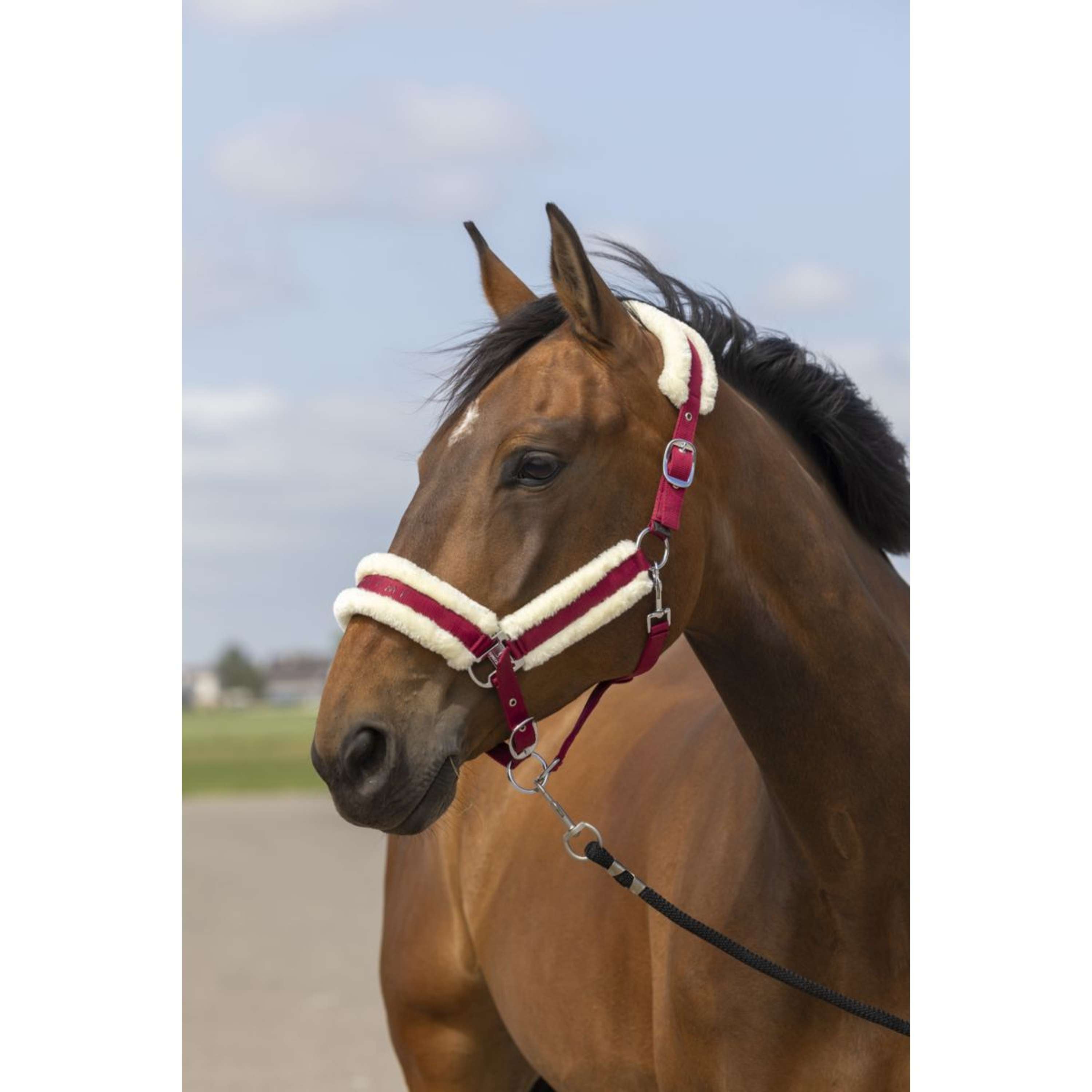 EQUITHÈME Halter Mouton Nylon Burgundy/White