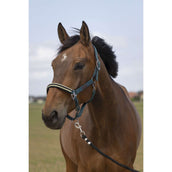 EQUITHÈME Halter Chevron Nylon Dark Green