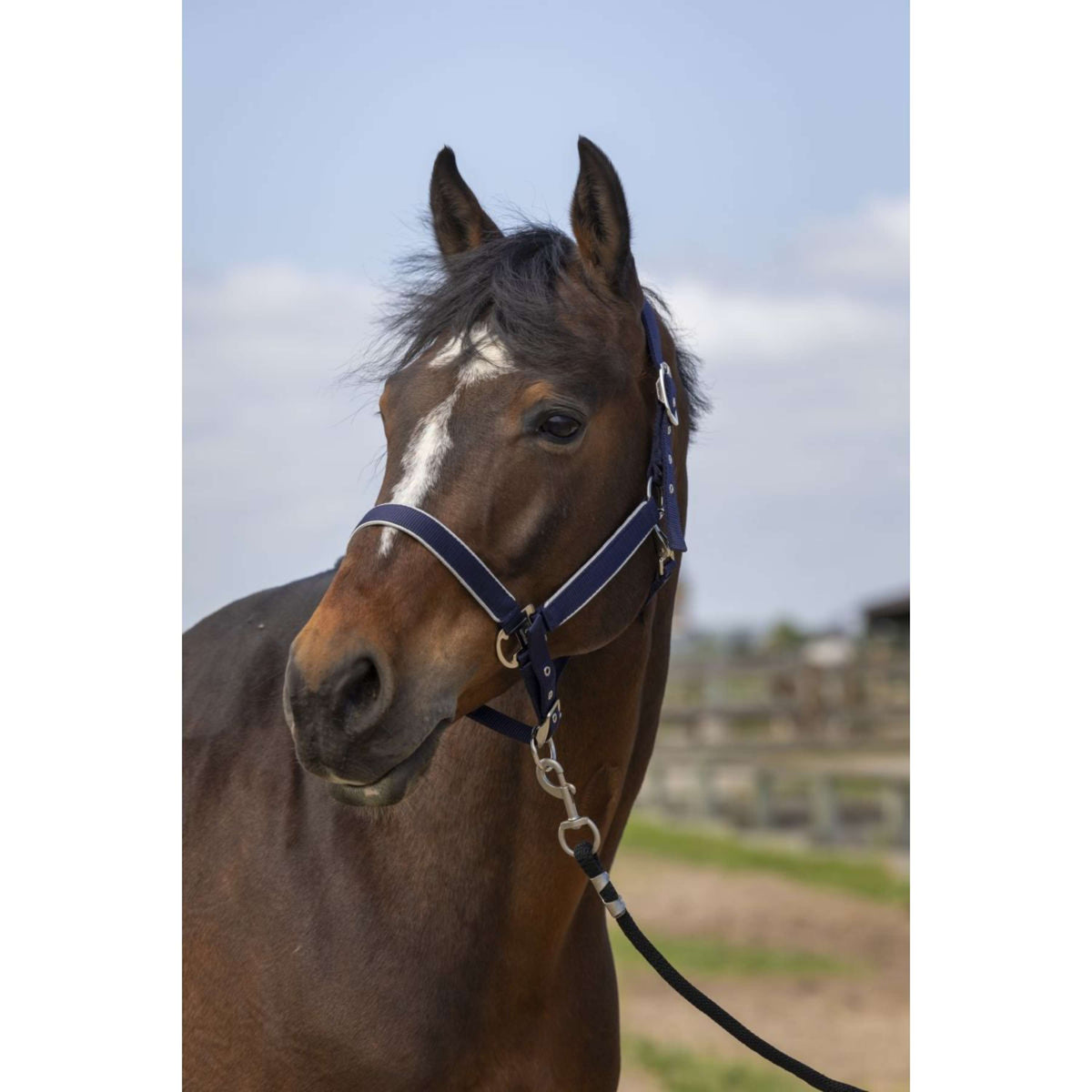 EQUITHÈME Halter Light Nylon Navy