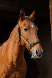 EQUITHÈME Halter Domino Nylon Copper