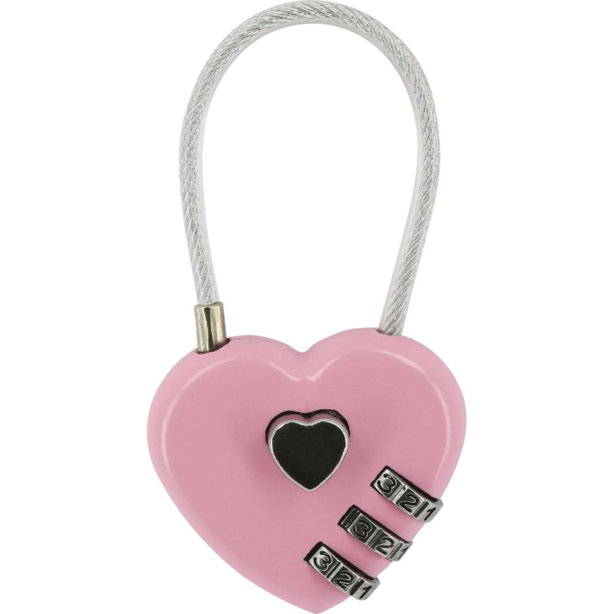 Hippotonic Grooming Box Padlock Heart Pink