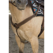 Westride Front Harness Billy Choco