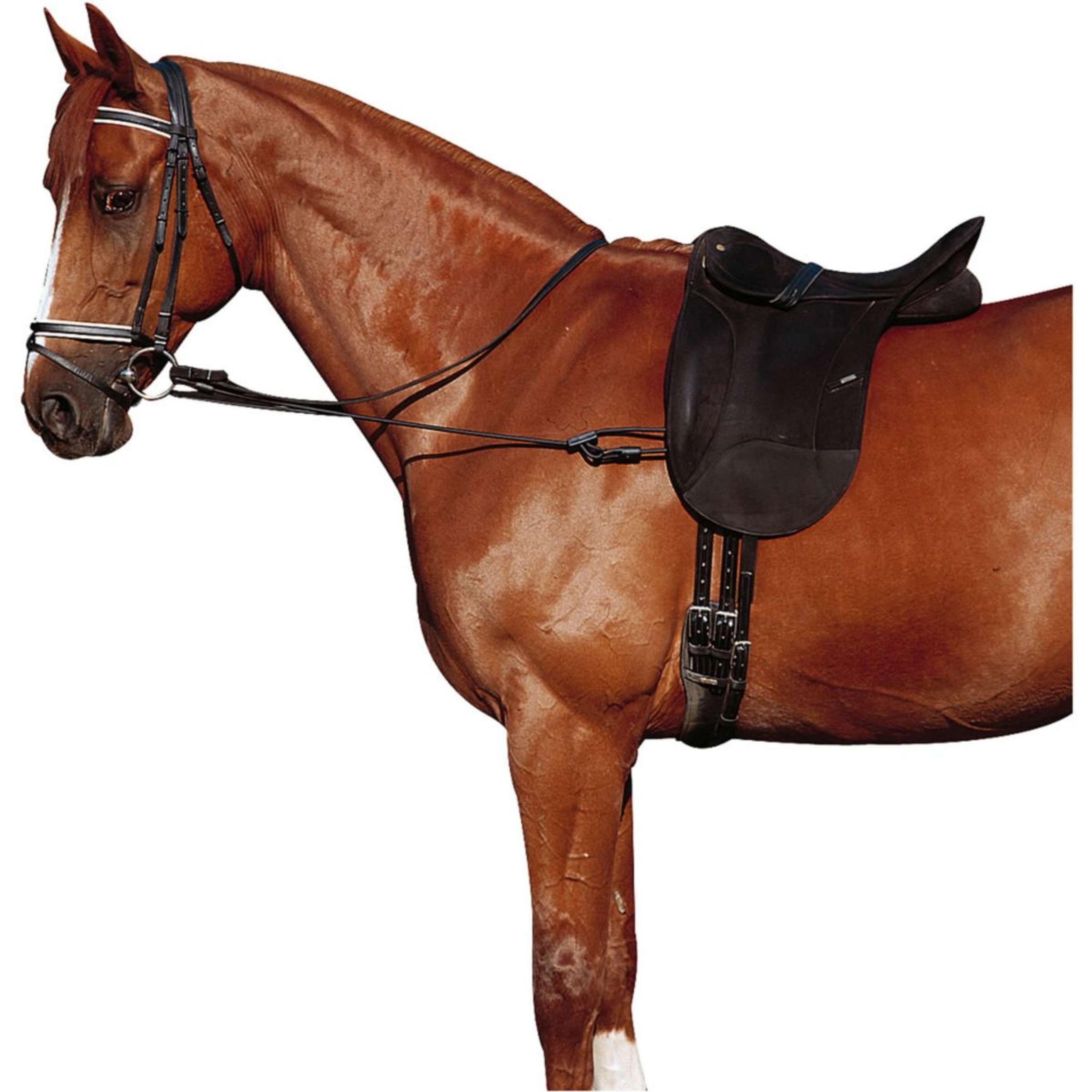 Norton Side Rein Adjustable Elastic Black Norton Side Rein Adjustable Elastic Black