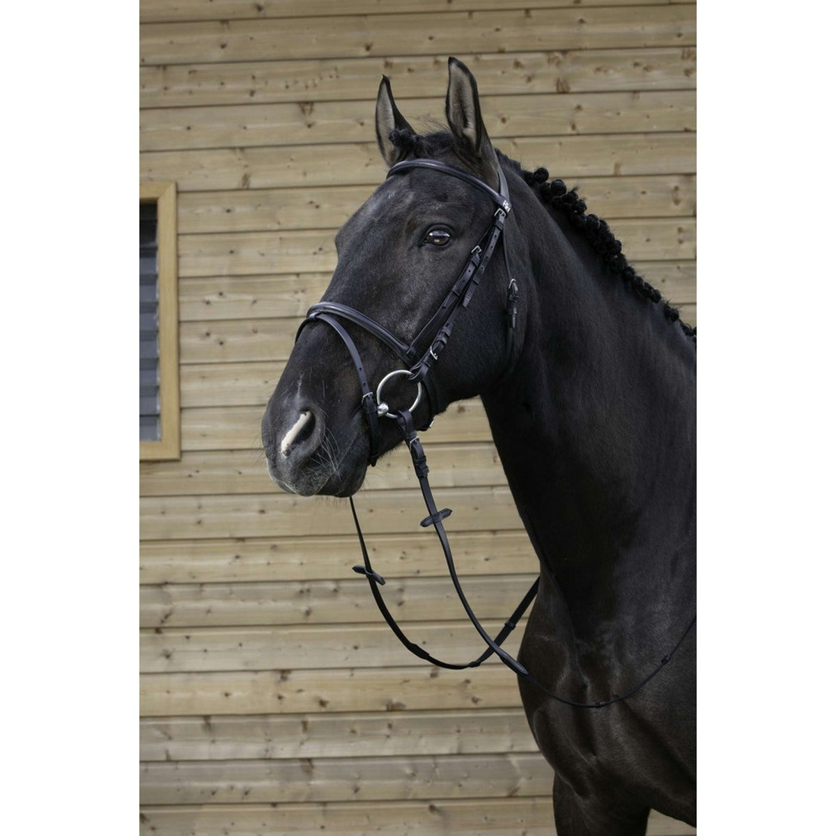 Riding World Bridle Muserolle Combinée Havana