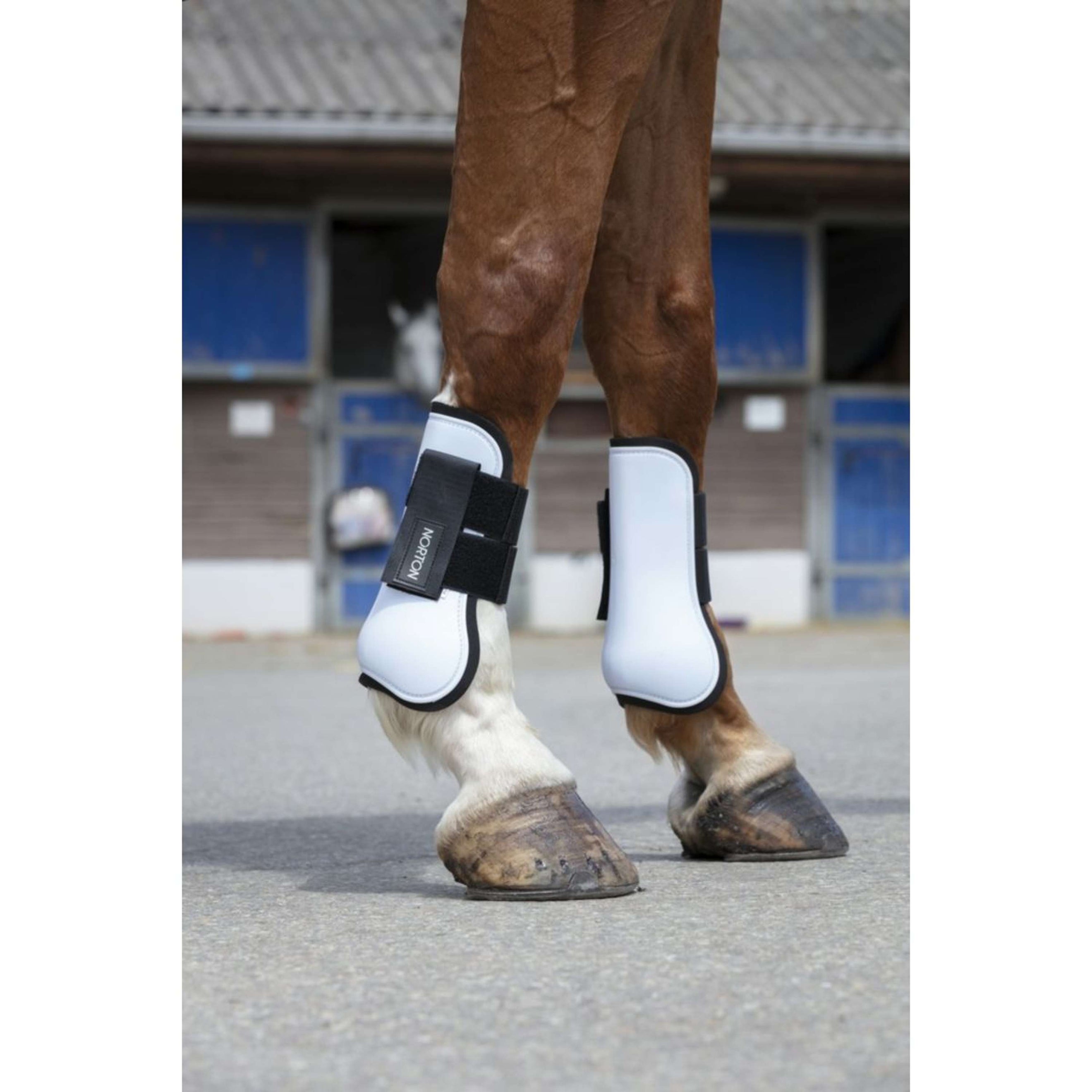 Norton Tendon Boots Lightblue