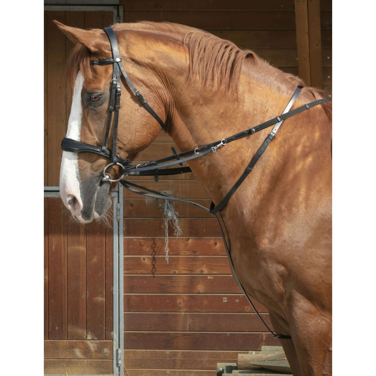 Norton Thiedeman Bridle Pro Black