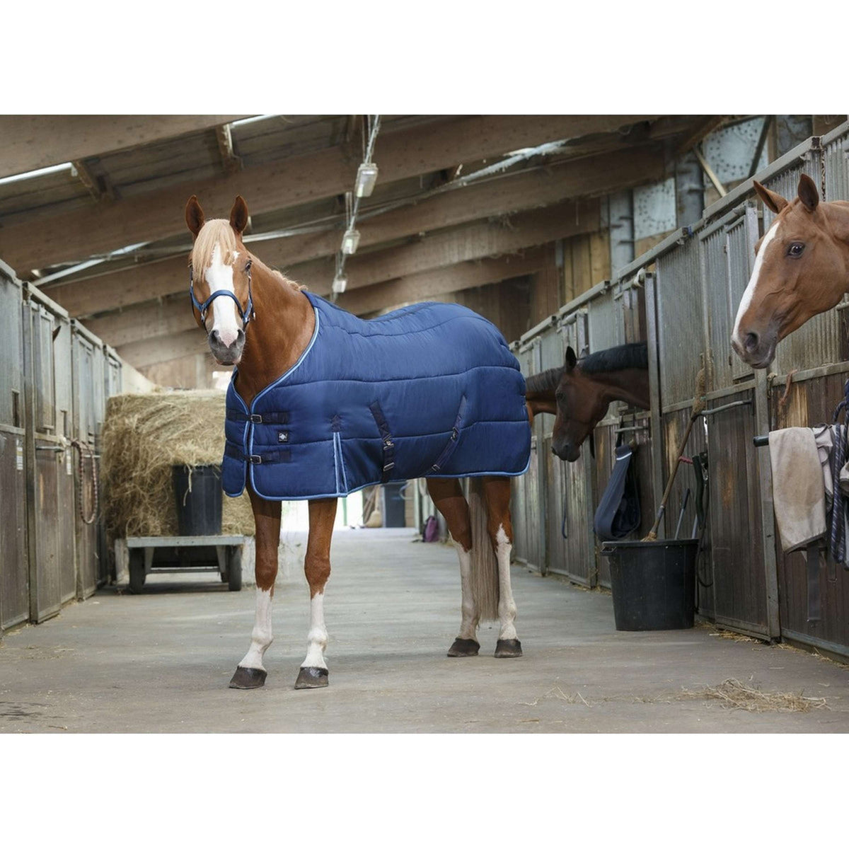 Riding World Stable Rug Blue