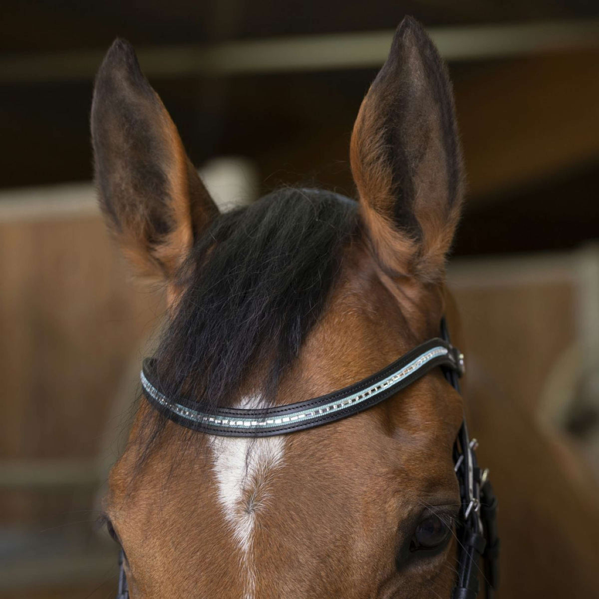 Norton Double Bridle Diadème Black