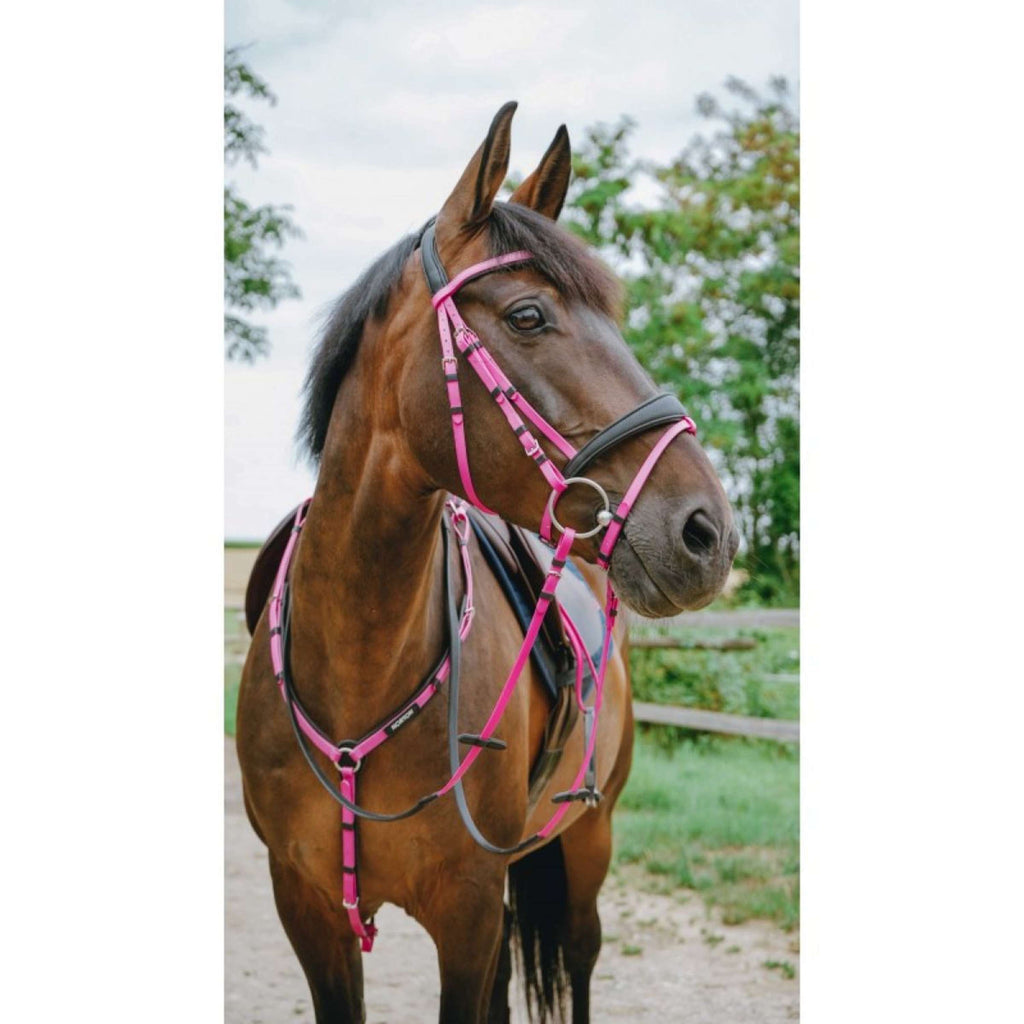 Norton Bridle Endurance Pink