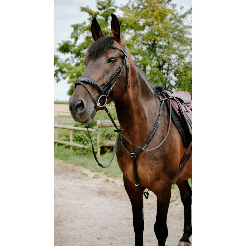 Norton Bridle Endurance Black